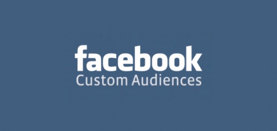 Facebook custom audience tool