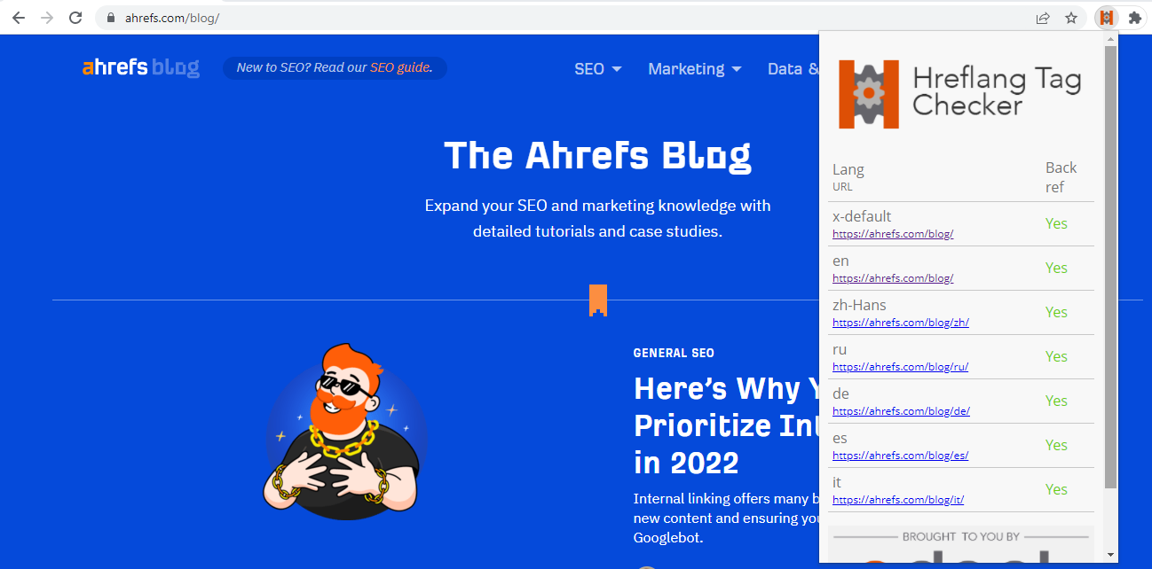 Hreflang Tag Checker Extension